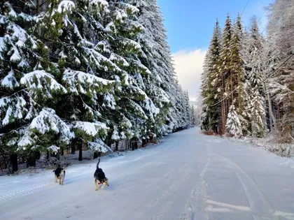 Poiana Brasov